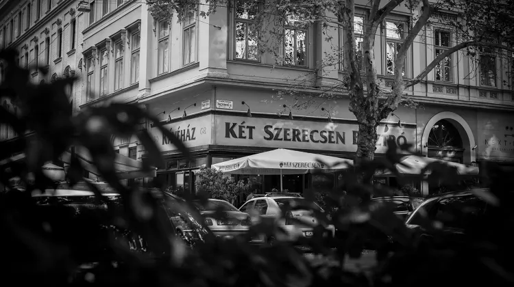 Szakács állás Budapest - Két Szerecsen Bisztró