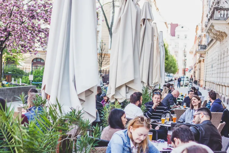 Stifler Beerhouse munkahelyi fotója - Felszolgáló Pincér állás Budapest (Kép 2)