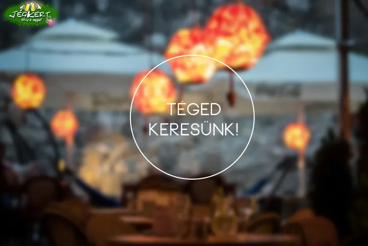 Jégkert munkahelyi fotója - Felszolgáló Pincér állás Budapest (Kép 1)