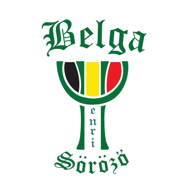 Belga Söröz ő Henri munkahelyi fotója - Fizettető pincér állás Budapest (Kép 2)