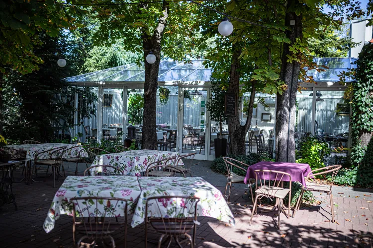 Jardinette Kertvendéglő munkahelyi fotója - Felszolgáló Pincér állás Budapest (Kép 1)