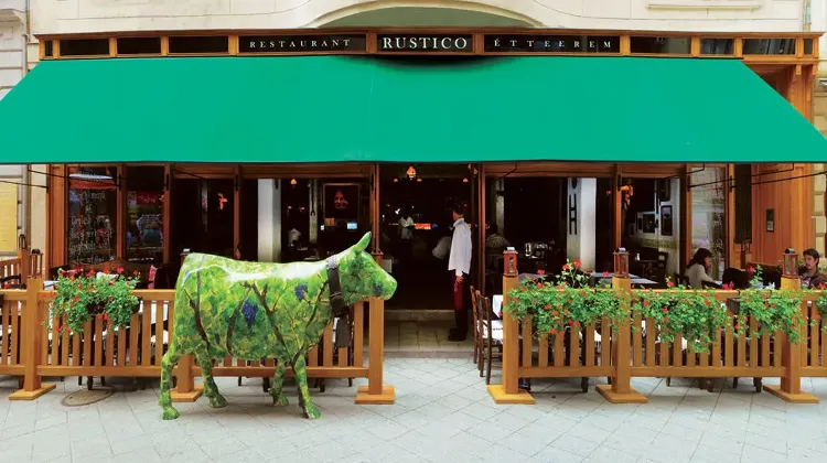 Szakács állás Budapest - Rustico
