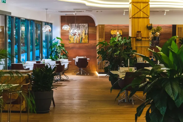 SunHill Bistro munkahelyi fotója - Pizza szakács állás Budapest (Kép 2)