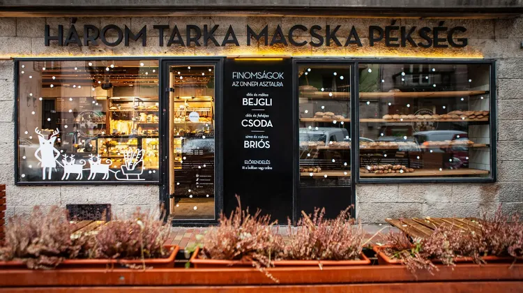 Eladó állás Budapest - Három Tarka Macska