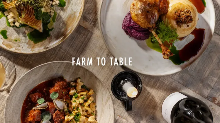 Konyhai kisegítő állás Budapest - TATI Farm to Table