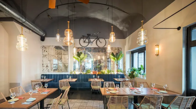 Szakács állás Budapest - Fekete Mangalica