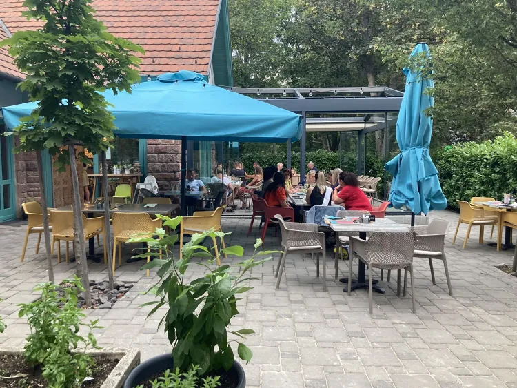 il monte pizzéria munkahelyi fotója - Felszolgáló Pincér állás Badacsonytomaj (Kép 3)