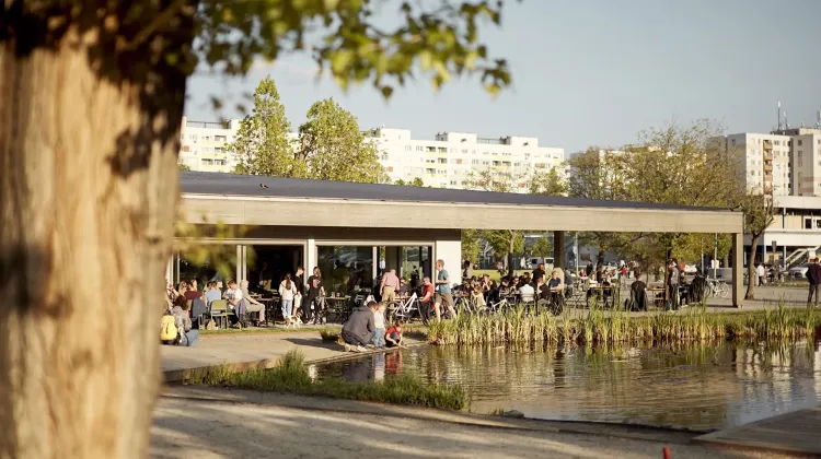 Mosogató állás Budapest - Roland