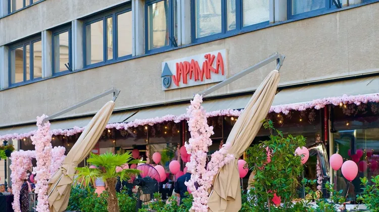 Mosogató állás Budapest - Japanika