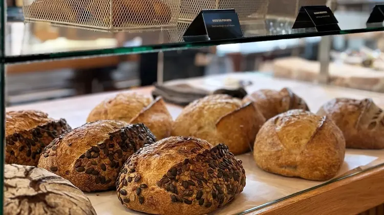 Pultos állás Budapest - VAJ