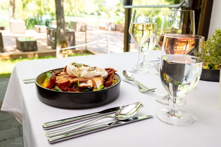 Nádas Tó Park Hotel munkahelyi fotója - Séf helyettes állás Vasad (Kép 1)