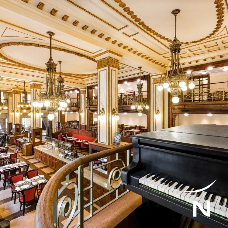 NonGluten byPizzaMonkey munkahelyi fotója - Pultos állás Budapest (Kép 1)