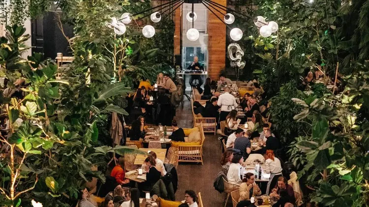 Fizettető pincér állás Budapest - Twentysix