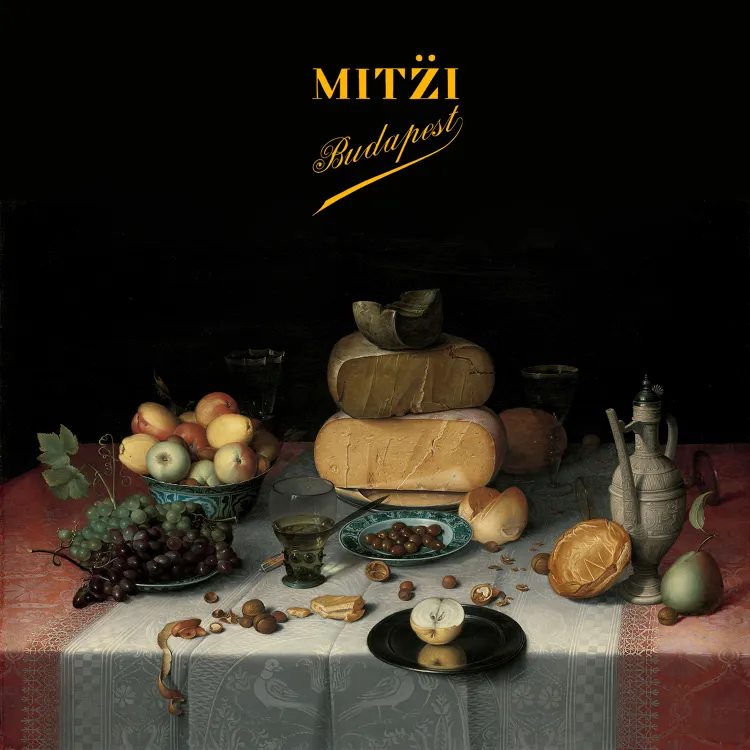 Mitzi Budapest munkahelyi fotója - Konyhai kisegítő állás Budapest (Kép 3)