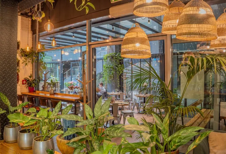 Vegan Garden Kft munkahelyi fotója - Pizza szakács állás Budapest (Kép 3)