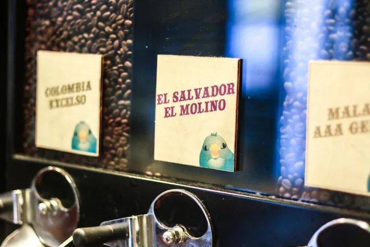 Blue Bird Cafe munkahelyi fotója - Értékesítő állás Budapest (Kép 3)