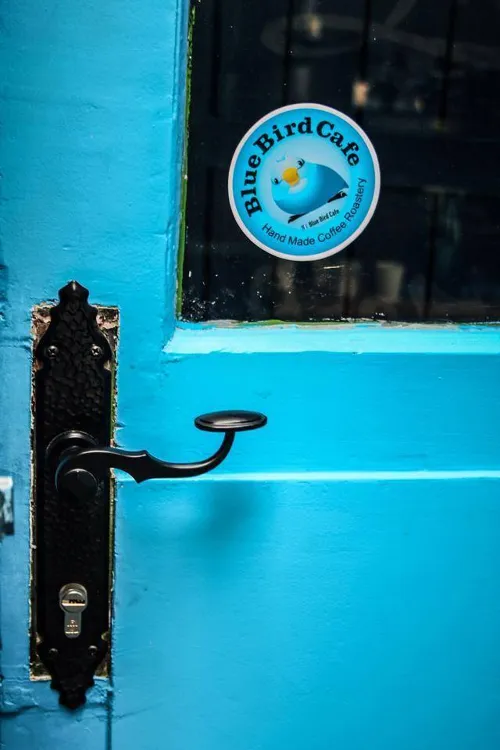 Blue Bird Cafe munkahelyi fotója - Értékesítő állás Budapest (Kép 1)