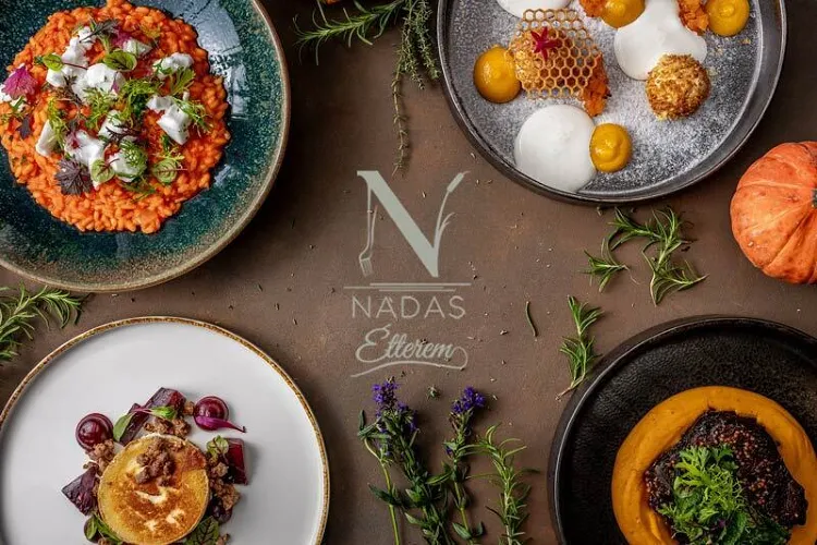 Nádas Tó Park Hotel munkahelyi fotója - Séf állás Vasad (Kép 3)