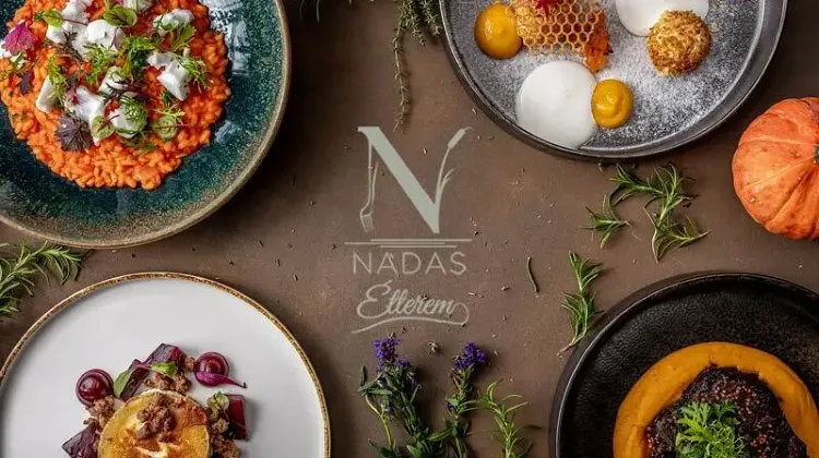 Séf állás Vasad - Nádas Tó Park Hotel