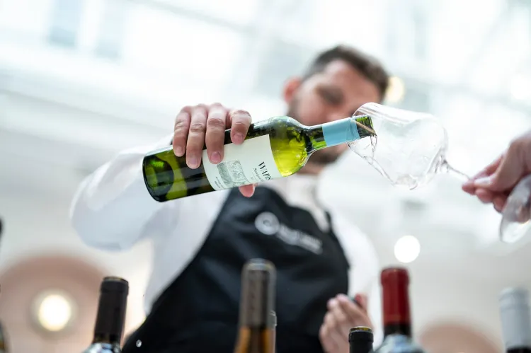 Drop Shop Borbár munkahelyi fotója - Sommelier állás Budapest (Kép 1)