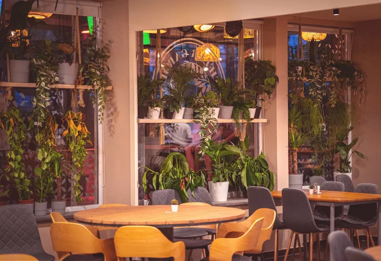 Stifler Garden munkahelyi fotója - Segédfelszolgáló állás Budapest (Kép 3)