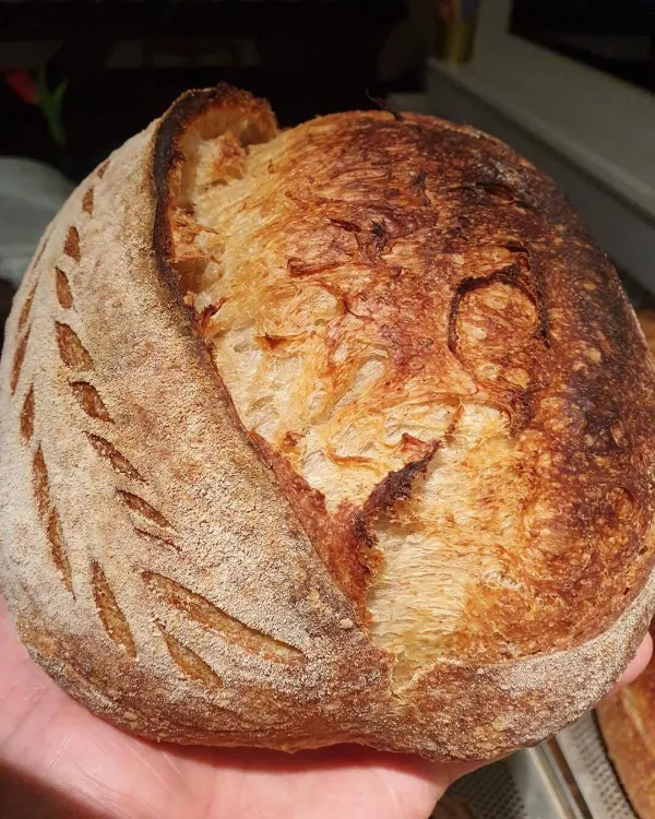 Törökbálinti Nagykifli munkahelyi fotója - Pék állás Törökbálint (Kép 3)