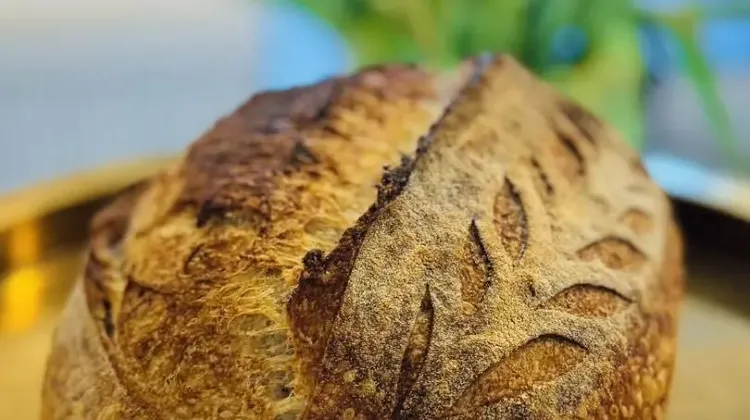 Pék állás Törökbálint - Törökbálinti Nagykifli