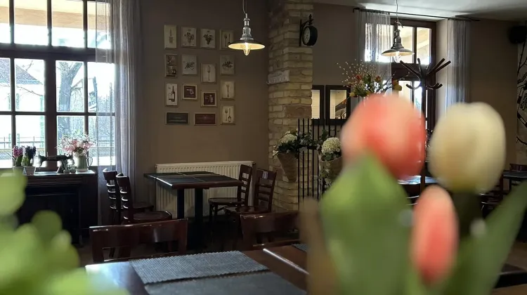 Felszolgáló Pincér állás Gödöllő - Pizza Palazzo