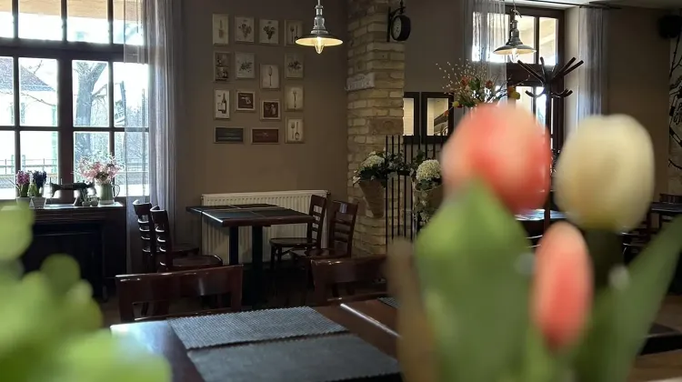 Felszolgáló Pincér állás Gödöllő - Pizza Palazzo