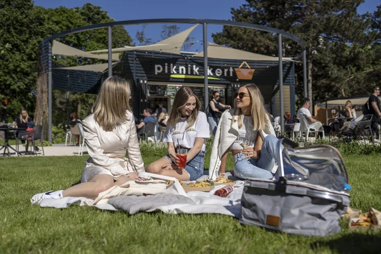 Nyereg Bár & grill munkahelyi fotója - Pultos állás Budapest (Kép 3)