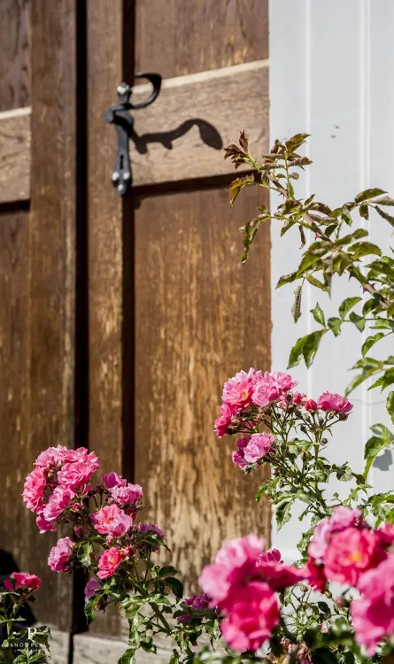 Bagolyvár Fogadó Zirc munkahelyi fotója - Üzletvezető állás Zirc (Kép 3)