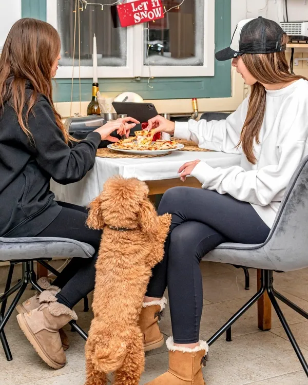 P7 Pizza and café munkahelyi fotója - Pizza szakács állás Budapest (Kép 3)