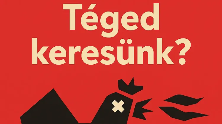 Egyéb szakember állás Budapest - Crunchy