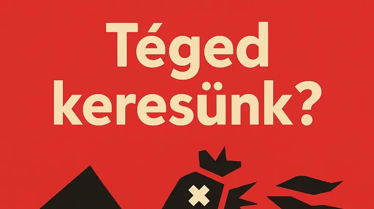 Egyéb szakember állás Budapest - Crunchy