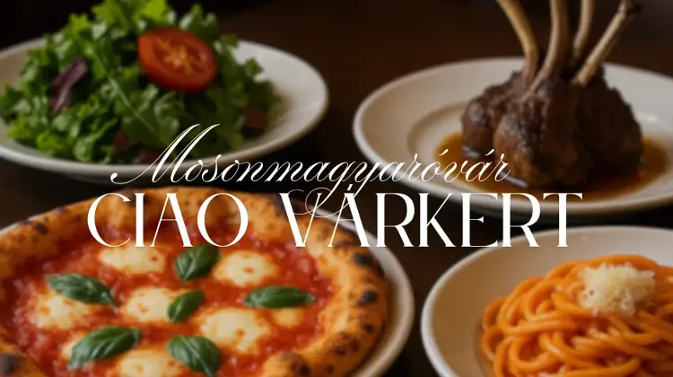 Szakács állás Mosonmagyaróvár - Ciao Várkert