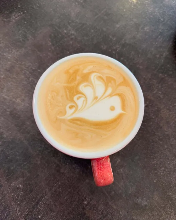 La Perla Café munkahelyi fotója - Barista állás Budapest (Kép 2)