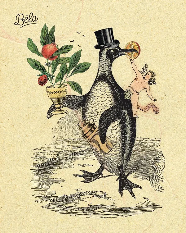 BÉLA – Bár, Étterem munkahelyi fotója - Pultos állás Budapest (Kép 2)