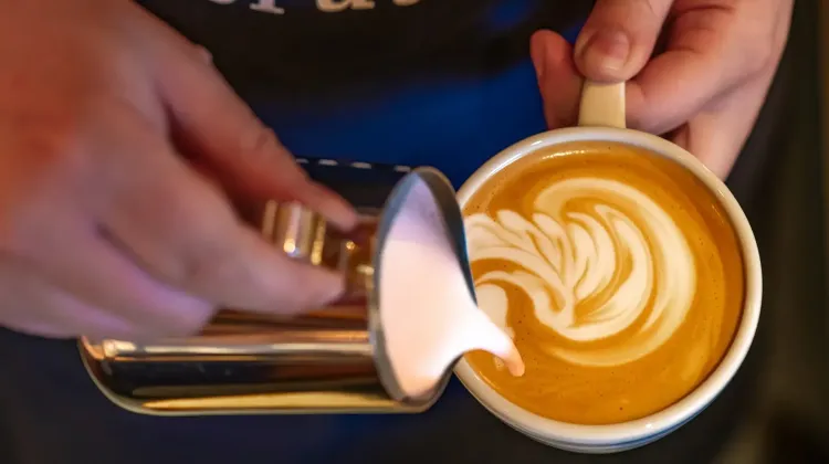 Barista állás Budapest - Scruton
