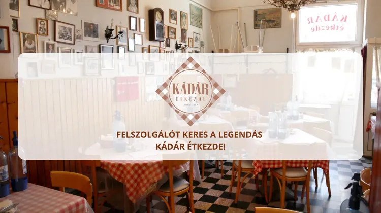 Felszolgáló Pincér állás Budapest - Costes Group