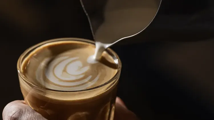 Barista állás Budapest - David's Kitchen