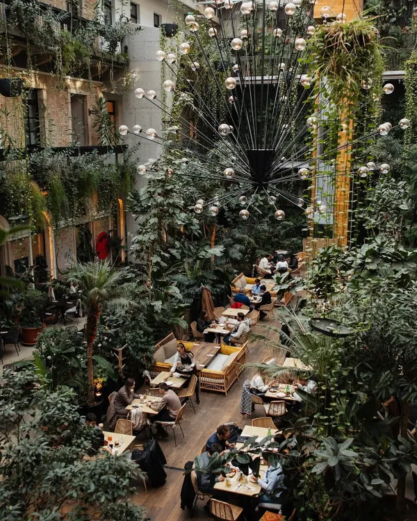 Twentysix munkahelyi fotója - Felszolgáló állás Budapest (Kép 1)