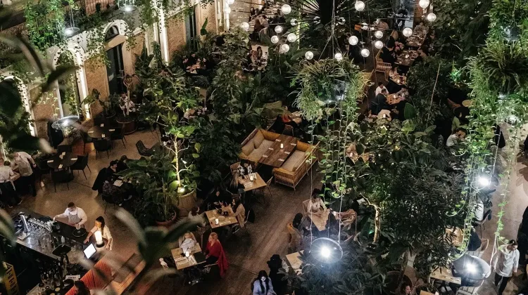 Szakács állás Budapest - Twentysix