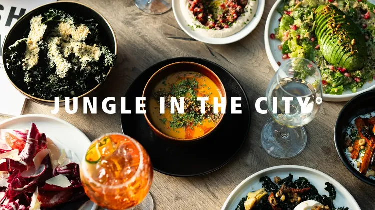 Séf helyettes állás Budapest - Twentysix