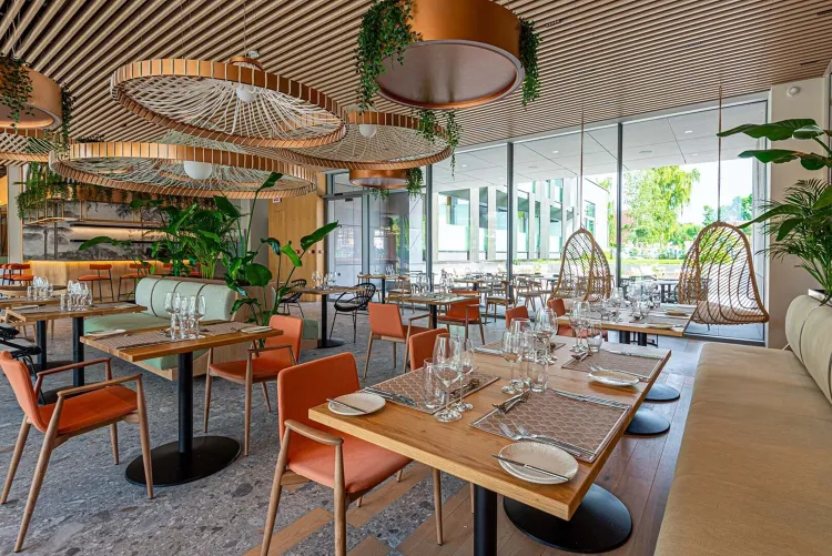 Hilaris Hotels munkahelyi fotója - Séf helyettes állás Siófok (Kép 1)