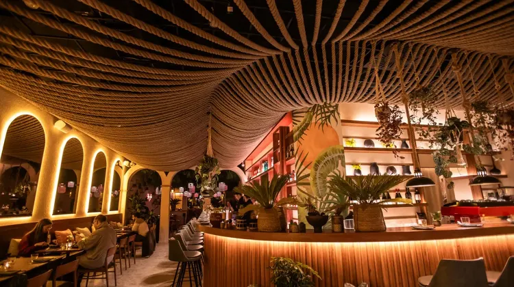 Bártender állás Budapest - Maia Fusion