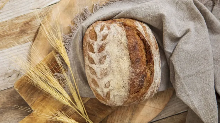 Pék állás Budapest - Búzakovász Pékség