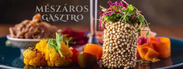 Mészáros Gasztro munkahelyi fotója - Felszolgáló Pincér állás Óbarok (Kép 1)