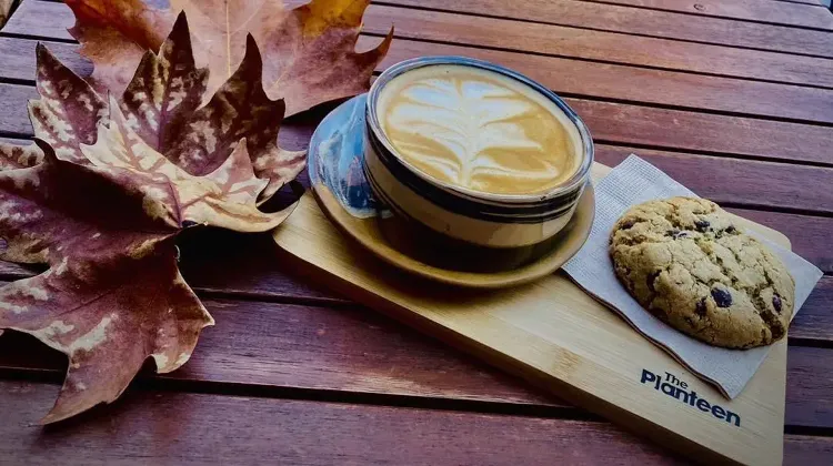 Pultos állás Budapest - The Planteen