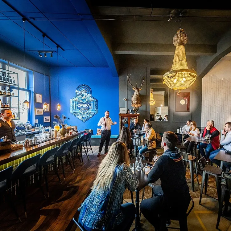 Opera Gin Budapest munkahelyi fotója - Manager állás Budapest (Kép 1)