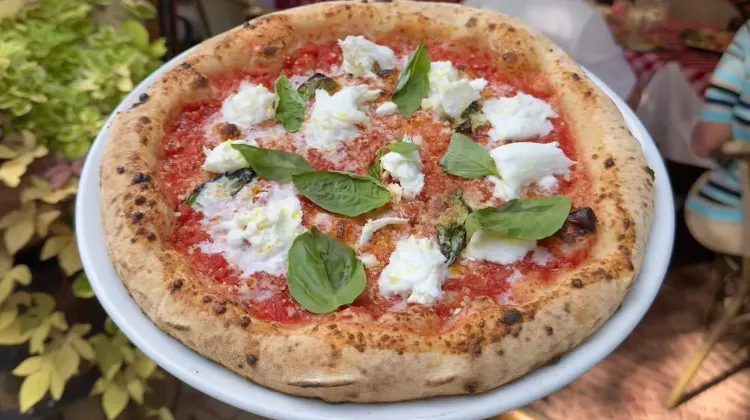 Pizza szakács állás Budapest - Ristorante Cavallino